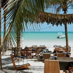 casa-las-tortugas-petit-beach-spa.quintano-roohotels.com/